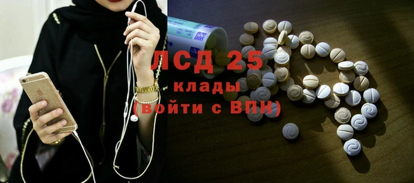 стаф Верея