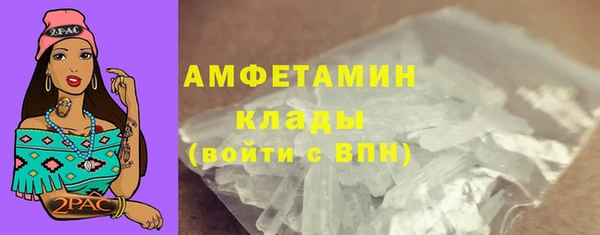 стаф Верея
