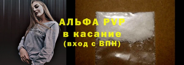 стаф Верея