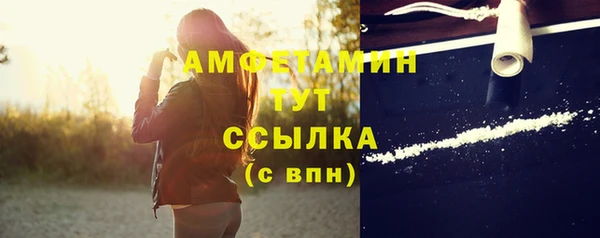 стаф Верея