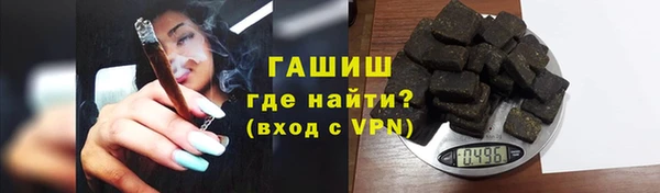 стаф Верея