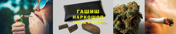 стаф Верея