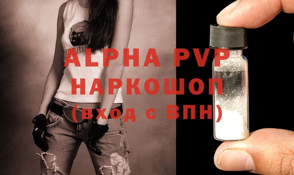 стаф Верея