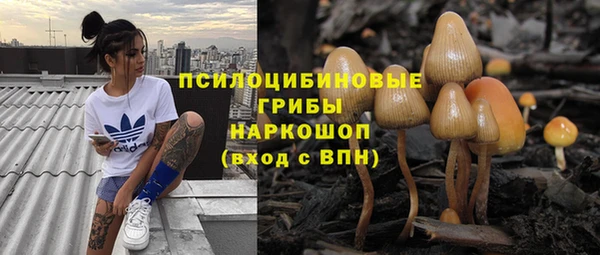герыч Верхний Тагил