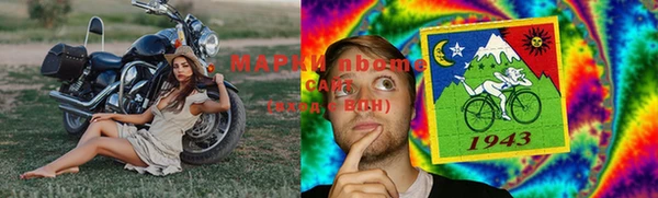 стаф Верея