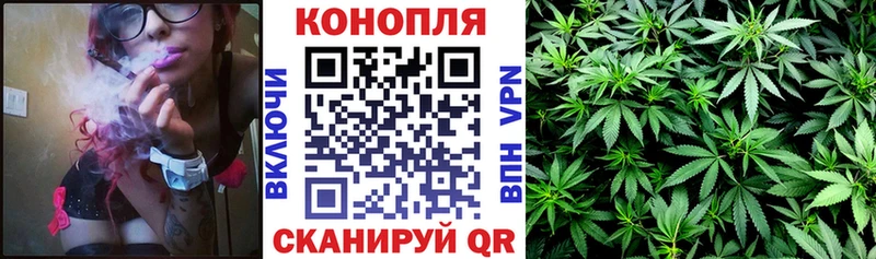 Марихуана план  закладка  Черепаново 